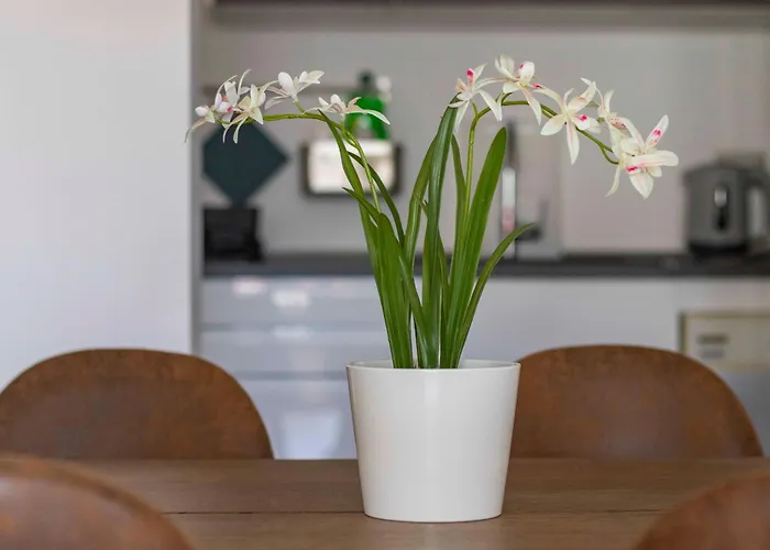Bright House - Carozzi Apartments